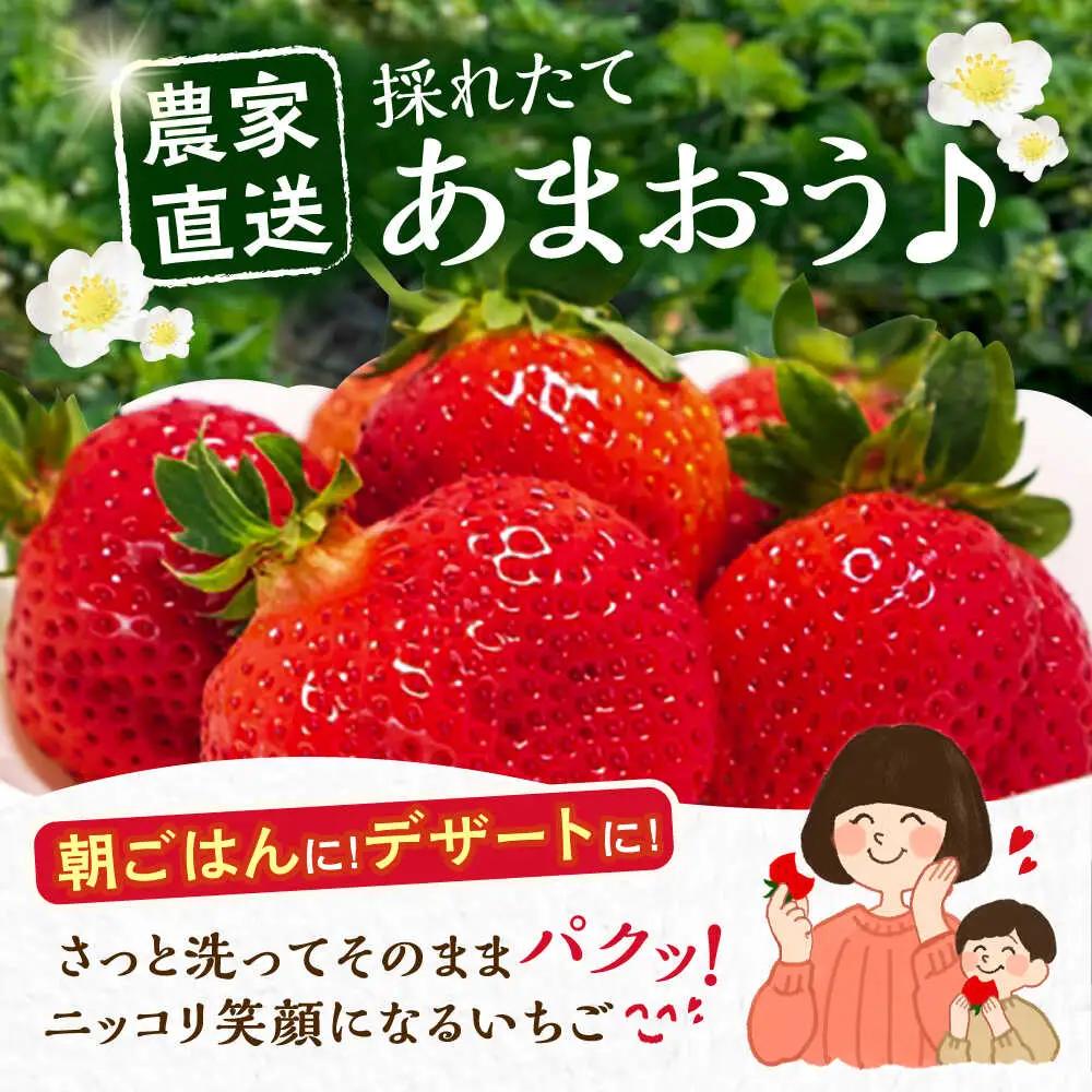【先行予約】【1月発送】農家直送 あまおう 厳選デラックスG 1080g(270g以上×4P)土耕栽培 VAB003 果物 あまおう