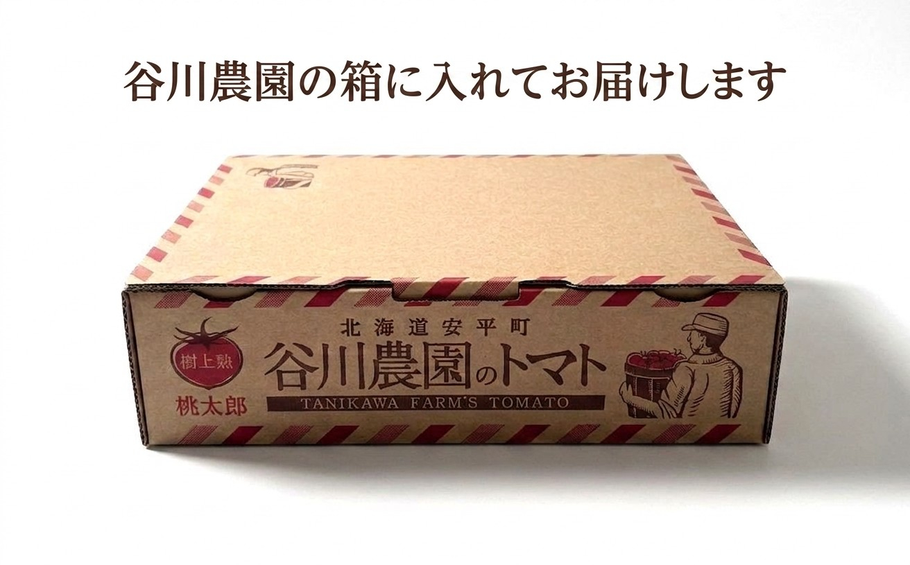 ＜先行予約＞樹上熟3段採り 桃太郎トマト / 正品2kg箱(10～15玉入)【1472504】