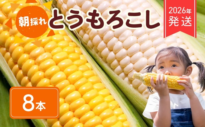
            【 2026年 先行予約 】 朝採れ とうもろこし 白 ＆ 黄色 8本 食べ比べ ホワイトコーン ホワイト コーン スイートコーン 2026年6月下旬発送開始 新鮮 旬 野菜 やさい 夏野菜 朝採り とうきび BBQ バーベキュー 数量限定 季節限定 送料無料 産地直送 冷蔵 千葉県 旭市 Re.FOODS The Morokoshi 株式会社はなわ農園 hnw012
          