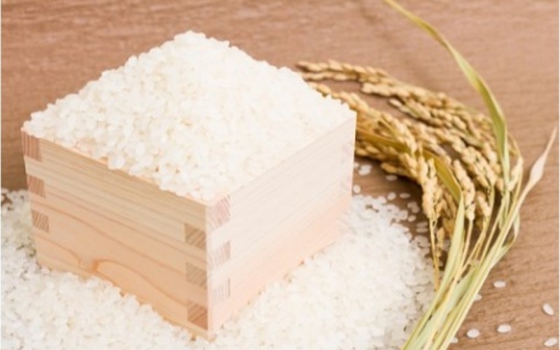 ＜定期便 全3回＞令和7年新米 真庭市産 太安さんちのあきたこまち 白米 5kg×3回 / お米 国産 岡山県 米 人気 ブランド 2025年産 【tkns-tkb039】 ５kg×３回