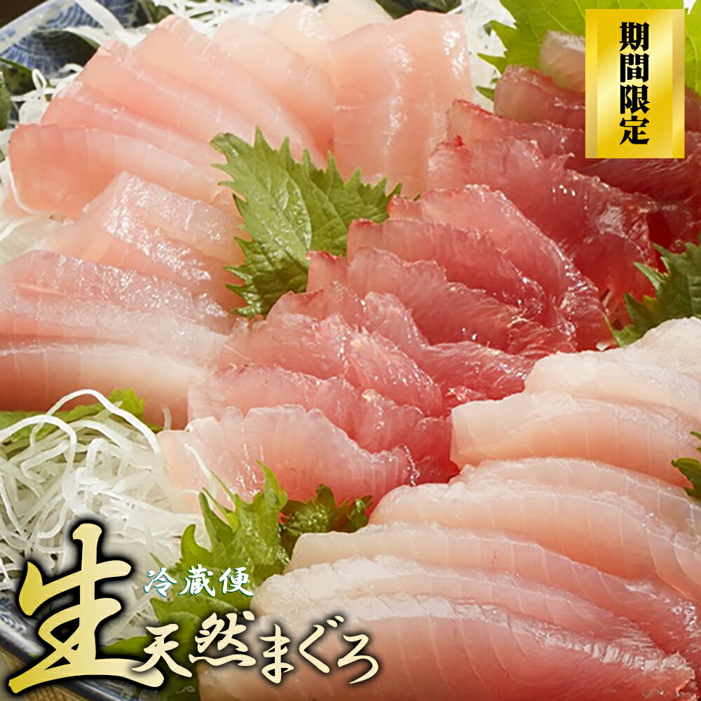 【ふるさと納税】〈生でお届け〉国産天然マグロ短冊 700g 【2月14日（土）までの受付】 産地直送 天然ビンチョウマグロ短冊 天然 国産 鮪 まぐろ マグロ ユッケ 海鮮 刺身 ネギトロ 短冊 期間限定 小分け 新鮮 品質 厳選 とろける トロ ビンチョウ 三重県 尾鷲市 KI-69