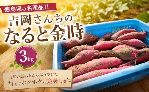さつまいも なると金時 3kg 鳴門金時 サツマイモ さつま芋 イモ いも 芋 生芋 甘藷 焼き芋 やきいも スイートポテト 野菜  おやつ 産地直送 贈答用 徳島県 吉岡ファーム
