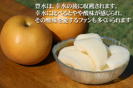 酒田産刈屋梨　和梨【豊水】約3kg(6～8玉入り) SA2711