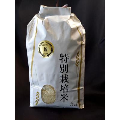 ふるさと納税 花巻市 【令和8年産米先行予約】銀河のしずく 厳選プレミアム  極(KIWAMI)5キロ