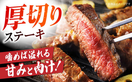 【全12回定期便】佐賀牛 ロース ステーキ・スライス定期（ステーキ 250g×2・スライス 500g） HAA050