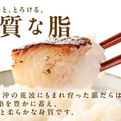 【定期便】銀鱈 西京漬け 80g×20切れ 全6回【小分け 熟成 銀だら ぎんだら ギンダラ 海産物 魚 惣菜 西京焼き 味噌 お酒のあて 訳あり サイズ不揃い 切り落とし】 G5626_イメージ4