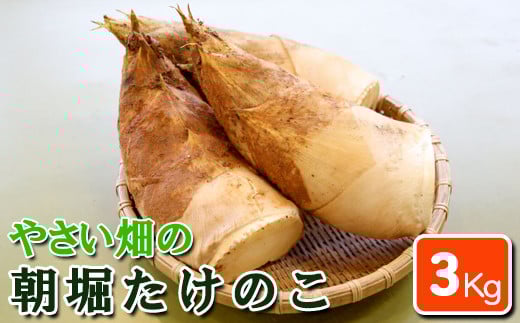 
            【先行受付】やさい畑の朝堀りたけのこ 3kg予約 3月中旬～4月上旬発送
          