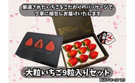 いちご 苺 9粒 特大粒 完熟 高糖度 いちご