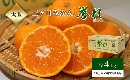 【2027年3月上旬より順次発送】三ケ日みかん「誉れ」 約4kg