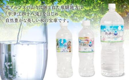 【6回 定期便】天然水 飛騨の雫 2L×12本 (2ケース)  | 天然水 ミネラルウォーター JS100
