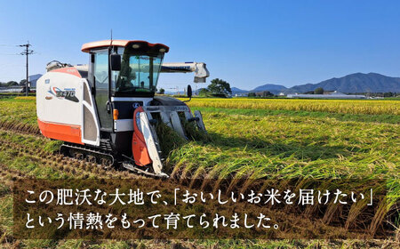 【先行予約】 ヒノヒカリ 白米 6㎏（1㎏×6袋） 【株式会社 岩下農園】[ZFS001]