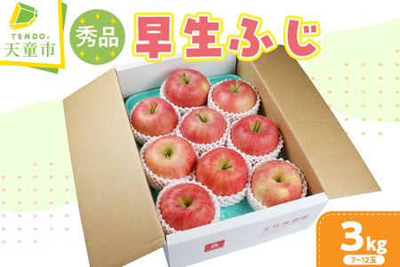 りんご 早生ふじ 3kg フルーツ 果物 山形 リンゴ