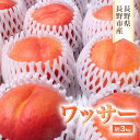 【ふるさと納税】長野県長野市産ワッサー約3kg箱　【長野市】　お届け：2024年8月上旬～中旬