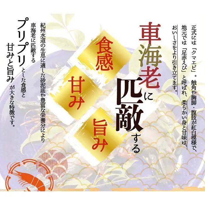 紀州和歌山産天然足赤えび540g（270g×2パック）　化粧箱入［2026年12月上旬頃から2027年2月上旬頃に順次発送］［UT23］