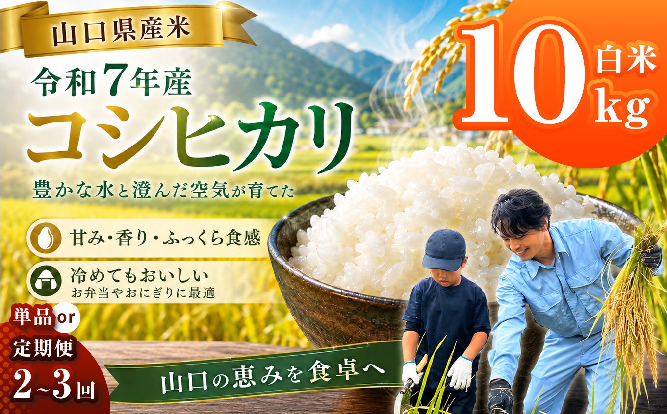 
                  令和7年産 山口県産米 コシヒカリ 10kg 【 単品 / 定期便 】 選べる 配送回数 1回 2回 3回 ｜ 令和7年産 こしひかり 山口県産米 こめ お米 コメ 白米 精米 ごはん ご飯 瀬戸内 山口県 平生町 10kg
                
