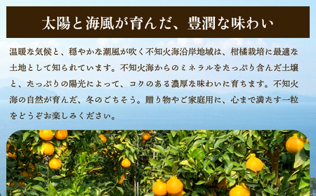 先行予約 不知火 約5kg 15玉〜22玉前後 2026年3月上旬から5月上旬発送予定 木村果樹園