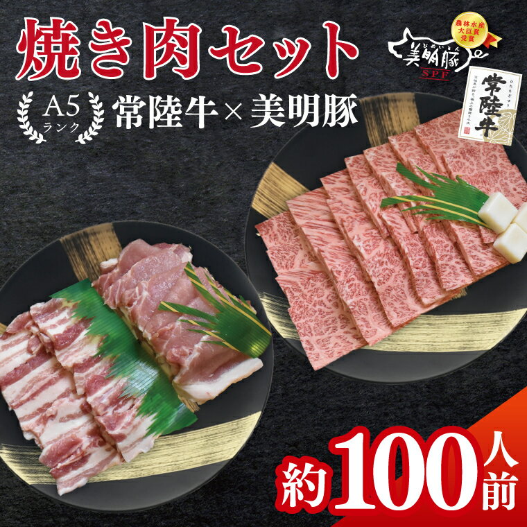 【ふるさと納税】常陸牛A5ランク・美明豚焼肉セット　合計約100人前！｜焼肉 BBQ カルビ ロース バラ 国産牛 和牛 牛肉 豚肉 茨城県 水戸市 国産 老舗精肉店（EK-88）