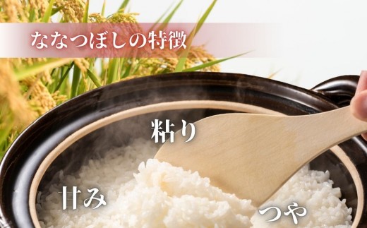 新米 ななつぼし 5kg 令和8年産 北海道産 精米【先行予約・2026年11月下旬から順次発送】山口農園