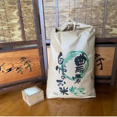 ふるさと納税 大和高田市 お米　ヒノヒカリ　(白米)10kg |  | 02