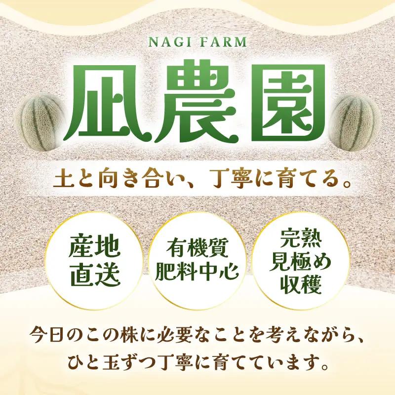 先行予約  マルセイユメロン (赤肉) 1玉 糖度15度以上 2027年6月上旬以降順次発送予定 [A-22105]