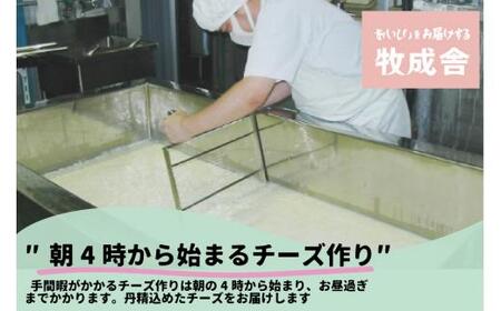 ＜牧成舎＞自家製チーズたっぷりのピザ＆こだわりのカップアイスクリームセット ピザ DF028
