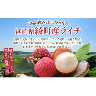 ふるさと納税 綾町 生ライチ　8パック