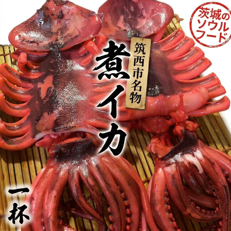 【ふるさと納税】筑西市名物 煮イカ （選べる内容量） いか 筑西 茨城 ソウルフード ご当地グルメ 名物 海鮮 魚介 冷凍