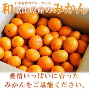 【2024年4月より発送】【ご家庭用訳アリ】初夏のみかん なつみ7.5kg【日高町】【配送不可地域：離島】【1216964】