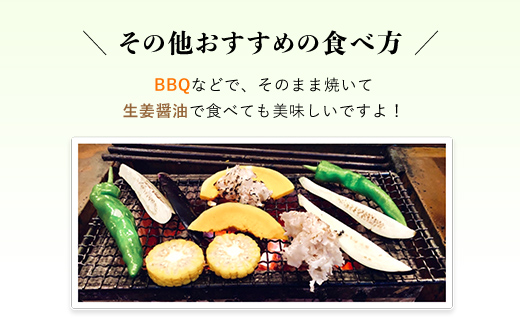 【2025年6月下旬発送開始！】万願寺とうがらし 1㎏ / ふるさと納税 京野菜 野菜 旬の野菜 万願寺とうがらし 伝統野菜 京都 京都府 福知山市 FCDB039