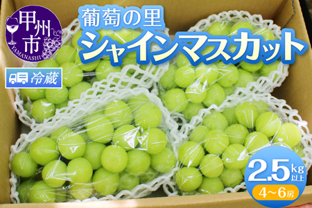 葡萄の里 シャインマスカット たっぷり大容量 2.5kg以上（4～6房）【2025年発送】（HK）C5-440【シャインマスカット 葡萄 ぶどう ブドウ 令和7年発送 期間限定 山梨県産 甲州市 フルーツ 果物】