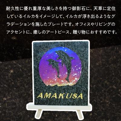 ふるさと納税 天草市 イルカ彫刻プレート_S177-011 |  | 01