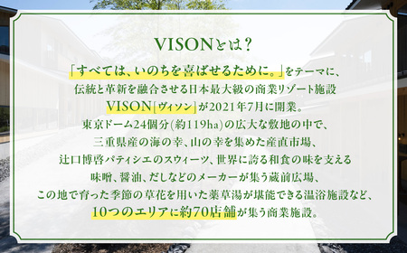VT-01　日本最大級の 商業 リゾート 施設　VISON [ ヴィソン ] ギフト 券 （3,000円分）| 多気町 補助券 ホテル