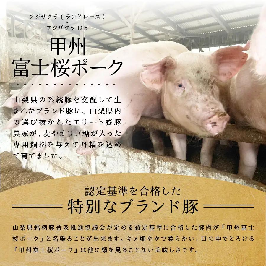 山梨県産 熟成肉 ハンバーグ 10個 セット 冷凍 ハンバーグ