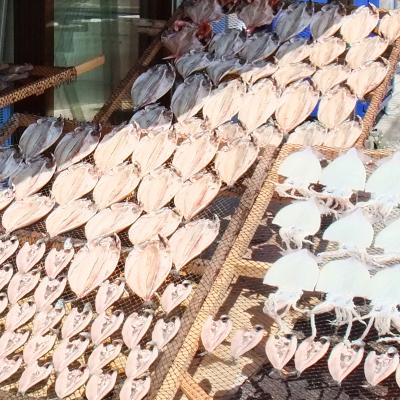 ふるさと納税 三浦市 魚音おまかせ干物&まぐろセット |  | 02
