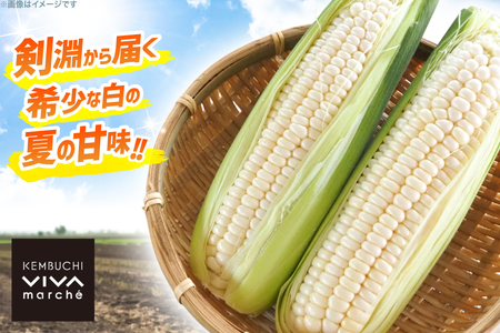 剣淵町産 ホイップコーン 10本