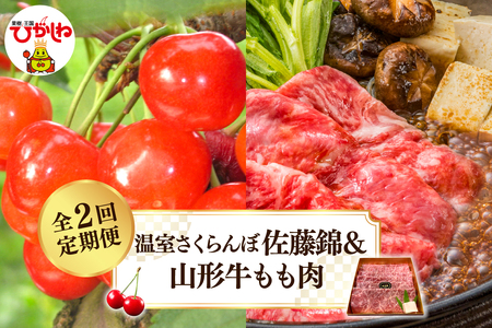 【2025年 先行予約】温室さくらんぼ佐藤錦＆山形牛もも肉 全２回定期便 (2025年4月からスタート) 山形県 東根市 hi026-017-1　果物 フルーツ くだもの さくらんぼ 佐藤錦 温室栽培 お試し お取り寄せ グルメ 旬 お取り寄せグルメ 期間限定 産地直産 ご当地 お取り寄せ グルメ 東北 山形県 東根市 牛肉 山形牛 定期便 バーベキューBBQ 国産 国産牛