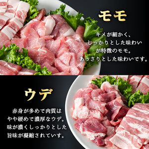 鹿児島県産霜降りトロ豚 焼き肉用バラエティセット (合計3kg) 鹿児島県産 豚肉 霜降り 【KNOT】 A566