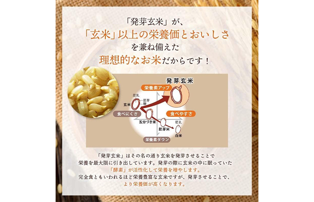 農薬・化学肥料不使用 発芽玄米ごはん 常温パック×60食(125g)	