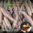 【ふるさと納税】北海道 豊浦 さつまいも シルクスウィート 約4kg 【土付き サイズ混合・不揃い】 【 ふるさと納税 人気 おすすめ ランキング 野菜 いも 芋 イモ さつまいも 紅はるか 不揃い 混合 おいしい 美味しい 北海道 豊浦町 送料無料 】 TYUB005