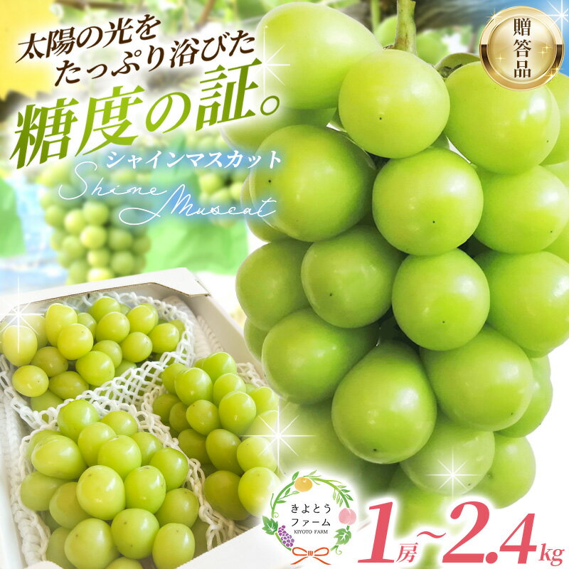 【ふるさと納税】 ぶどう シャイン マスカット 1房～2.4kg 【2026年発送 先行予約】 ぶどう 葡萄 種なし 産地直送 人気 果物 フルーツ 大粒 くだもの ブドウ マスカット 1kg 2kg 送料無料 数量限定 期間限定 お取り寄せ ギフト 贈り物 岡山 シャインマスカット