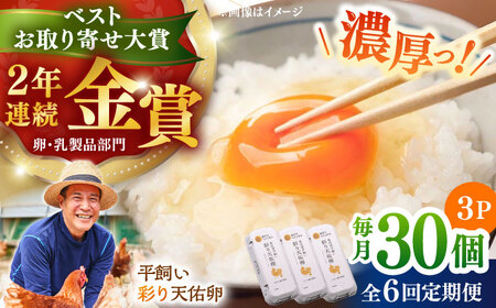 【全6回定期便】彩り天佑卵 30個入り 卵 卵 卵  卵 卵 たなべたたらの里 [AIDL003]