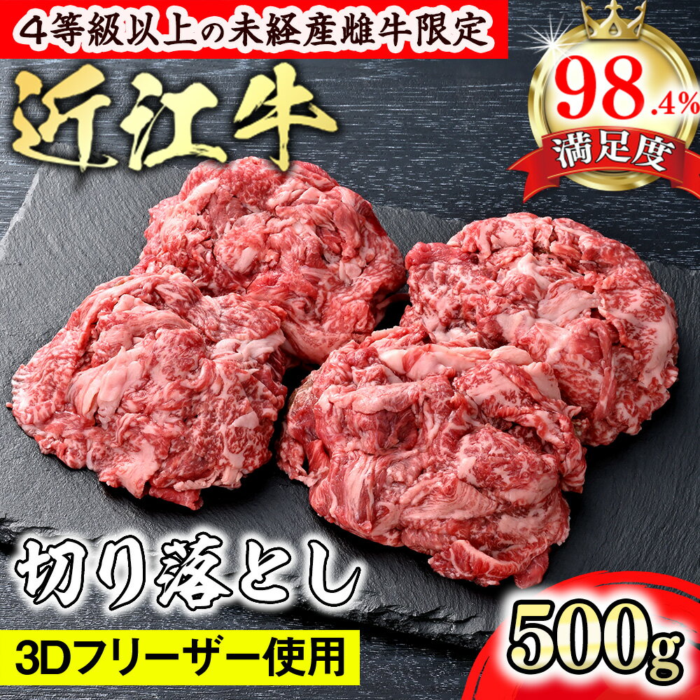 【ふるさと納税】【森三商会】4等級以上の未経産雌牛限定　近江牛切り落とし500g（ロース・肩ロース・ウデ・モモ・バラ） 御中元 お中元