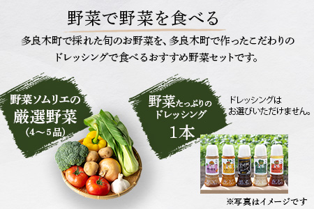【定期便 3回】野菜ソムリエ 監修【 野菜で野菜を食べる 】旬の おすすめ 野菜＆ドレッシング 定期便 (1〜2名様向け) 野菜 獲れたて 直送 旬 新鮮 セット 詰め合わせ 詰合せ 定期便 産地 直