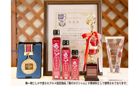 No.102 こしがや苺カレー　5個セット