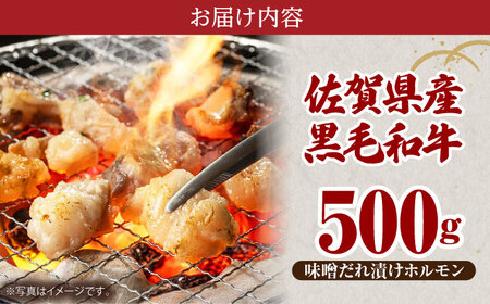 佐賀県黒毛和牛ホルモン（味噌ダレ）500g HAD109 ホルモン