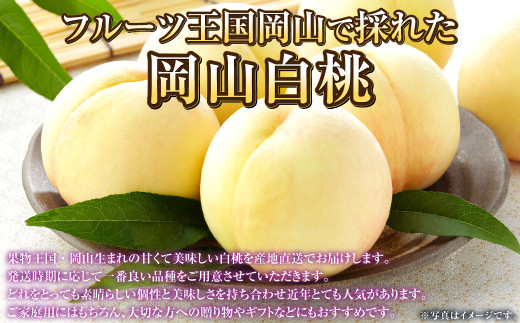 岡山白桃 エース 4～6玉 約1kg 岡山県産
