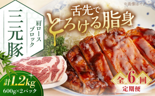 【全6回定期便】平田牧場 肩ロースブロック 1.2kg (600g×2P) 《喜茂別町》【平田牧場】 肉 豚肉 ロース ブロック ローストポーク 煮豚 酢豚 煮物 定期便 北海道 [AJAP116]