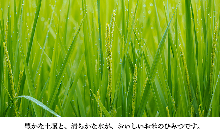 【令和8年産　先行受付】無農薬栽培 合鴨米ひのひかり(玄米)5kg TF0424-P00029