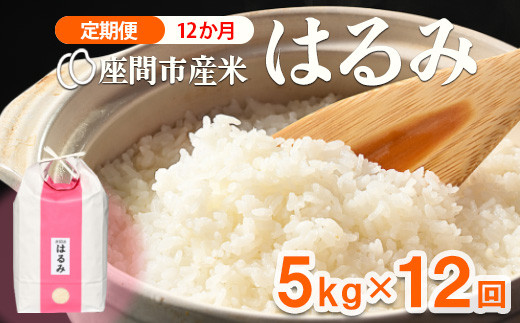 【定期便】12か月 座間市産米 はるみ5kg×12回 ※離島への配送不可 ※2025年10月上旬頃より順次発送予定
