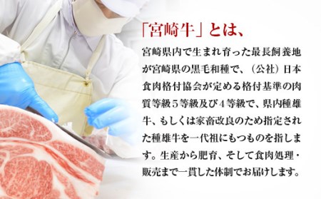 【宮崎牛】ミヤチク　ロースステーキ・モモステーキ食べ比べセット1㎏　4等級以上　国産牛肉＜3.2-1＞